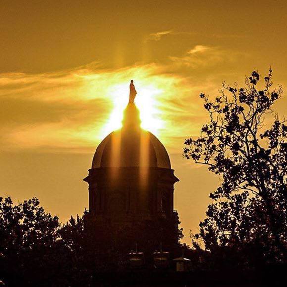 Profile Picture of Sheila Szymczak (@daszycat) on Poshmark