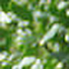 Profile Picture of Bernard Charpentier (@charpentier.bernard) on Flickr