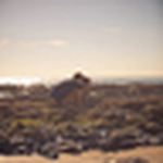 Profile Picture of Spencer Davis (@sdavis350) on Flickr