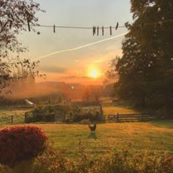 Profile Picture of Addie Walker (@cewajw) on Poshmark