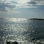 Tim Tori Tilton - Instagram Profile Picture of Tim Tori Tilton (@momathome46) on Instagram