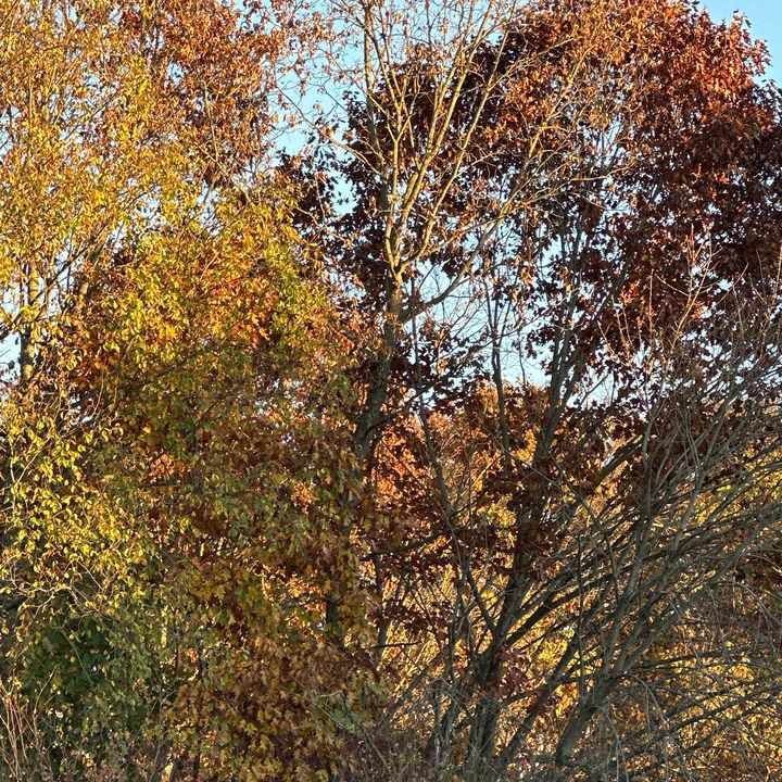 Profile Picture of Herbert Yee (@@madbull6544) on Tiktok