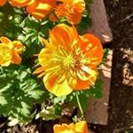 Profile Picture of Beverley Steele (@beverley.steele) on Instagram