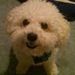 Profile Picture of Branthony Bennett (@branthonybennett) on Pinterest