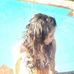 Profile Picture of Mia Cotroneo Zoto (@mia.cotroneozoto) on Facebook