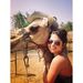 Profile Picture of Roberta Mooney (@robertarusteika) on Pinterest