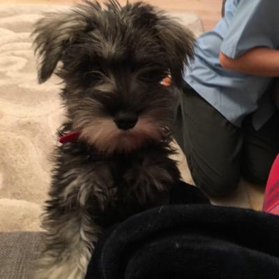 Profile Picture of Robert Forsythe (@Somerandonname) on Twitter