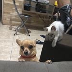Profile Picture of Amy e Cloe Princesas (@amymeme_e_cloeclo) on Instagram