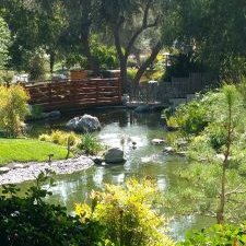 Profile Picture of Sherrie Saunders (@sarayu62) on Twitter