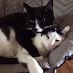 Profile Picture of Ray Nussbaum (@rayjayesq) on Instagram