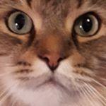 Profile Picture of Scott Fallis (@scott_fallis) on Instagram
