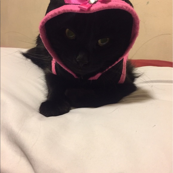 Profile Picture of Alondra Alvarez (@alondra1023) on Poshmark