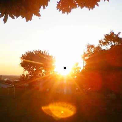 Profile Picture of Jacqueline Forero (@Jackye36) on Twitter