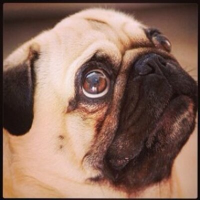 Profile Picture of Daniel Lewis-Hall (@FlossProtector) on Twitter