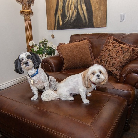 Rosalind Sonnen - Poshmark Profile Picture of Rosalind Sonnen (@rksonnen) on Poshmark