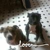 Profile Picture of Sherry Larson (@Weitze) on Tiktok