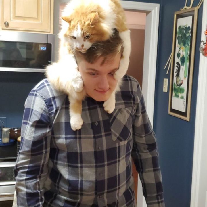 Profile Picture of user9941171258369 (@todd_merrifield) on Tiktok