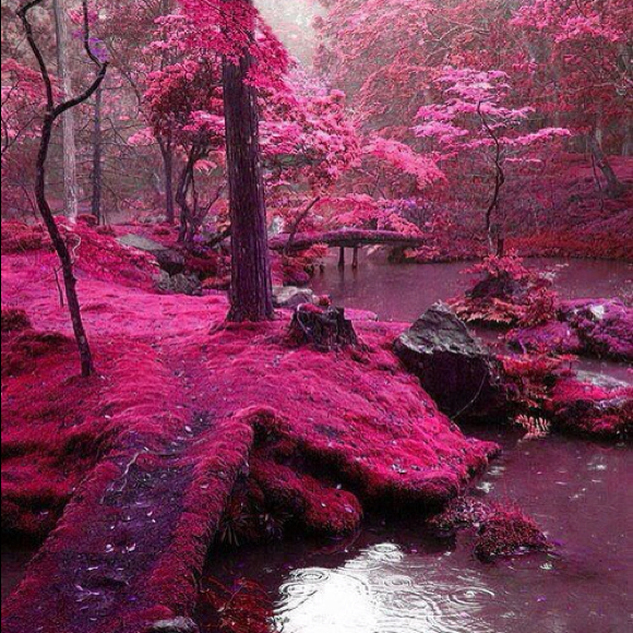 Profile Picture of Kelly Blaskowsky (@kblaskowsky) on Poshmark