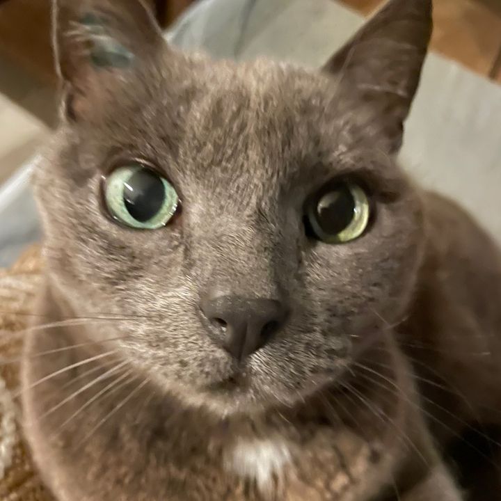 Profile Picture of Samuel (@samuel.sktt) on Tiktok