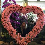 Profile Picture of Kit Wilson (@thosewholivebythesword) on Instagram