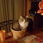 Profile Picture of wesly daniel conklin (@weslydanielconkli) on Instagram