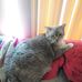 Profile Picture of Barry Pederson (@barry.pederson.3) on Facebook