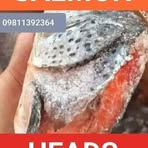 Profile Picture of Jojo Michael Lamosao (@Jojo-Michael-Lamosao) on Facebook