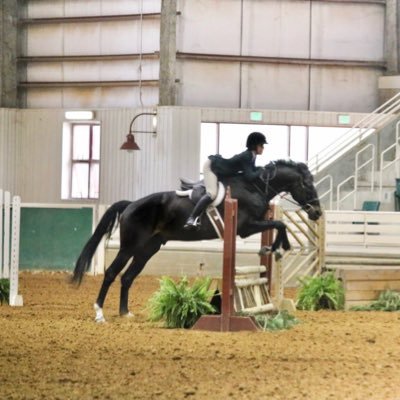 Profile Picture of Jillian Stevenson (@Jillian20130711) on Twitter