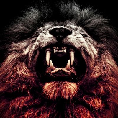 Profile Picture of AL Patel (@ALPatel84511450) on Twitter