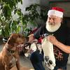 Profile Picture of Andrew Weil, M.D. (@@drweil) on Tiktok