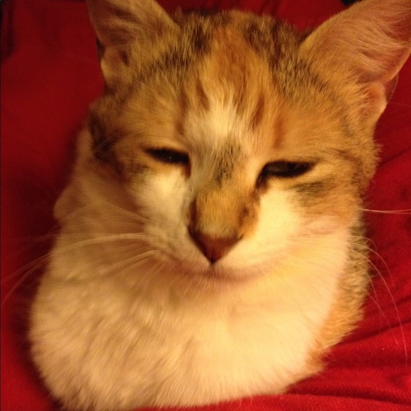 Profile Picture of Janet Friddle (@janetfriddle) on Poshmark
