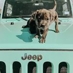 audios || annie - Instagram Profile Picture of audios || annie (@countryaudio) on Instagram