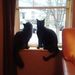 Profile Picture of Kevin Gartrell (@gartrell2209) on Pinterest