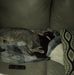 Profile Picture of Scott Sather (@scott.sather.395) on Facebook