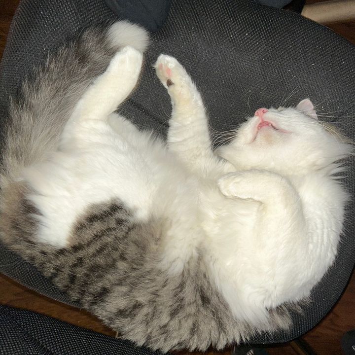 Profile Picture of john wickham (@wickyhamj0) on Tiktok