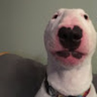 Profile Picture of Joseph Mcandrew (@joseph-mcandrew-9) on Quora