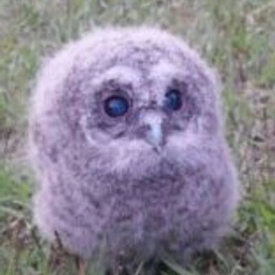 Profile Picture of 문상호/sang Ho Mun (@Jeff915dmMun) on Twitter