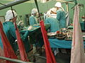 Profile Picture of Organ transplantation - Wikipedia, the free encyclopediaon Wikipedia
