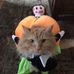 Profile Picture of Bruce A. Uhter (@bruce.uhter) on Facebook