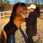 Profile Picture of Evelyn Horsetrainer 🐴 (@evelyn_banffy) on Instagram