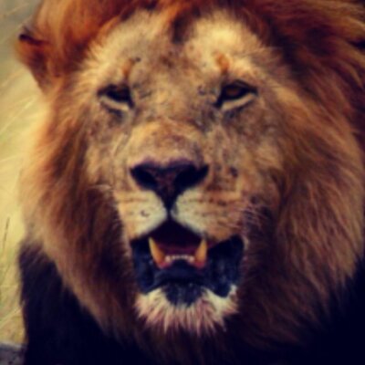 Profile Picture of Darryl Jennings (@connect1333) on Twitter