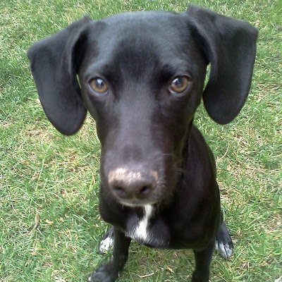 Profile Picture of Carly (@carnotcarl) on Twitter