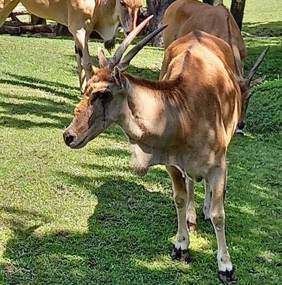 Profile Picture of Bijou Logo (@bijoulogo) on Poshmark