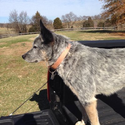 Profile Picture of Steven Dockery (@dockery_steve) on Twitter