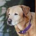 Profile Picture of Kim Walker Clare (@kim1clare) on Pinterest