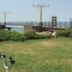 Profile Picture of Jacinta Wong (@wong_jacinta) on Instagram