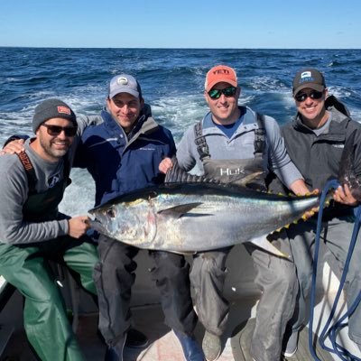 Profile Picture of Tim Hoffmann (@hoffmatw) on Twitter