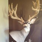 Profile Picture of Jeremy Houser (@jeremy.houser12) on Instagram