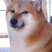 Profile Picture of Matthew Cortez (@matthewcortez1558) on Youtube