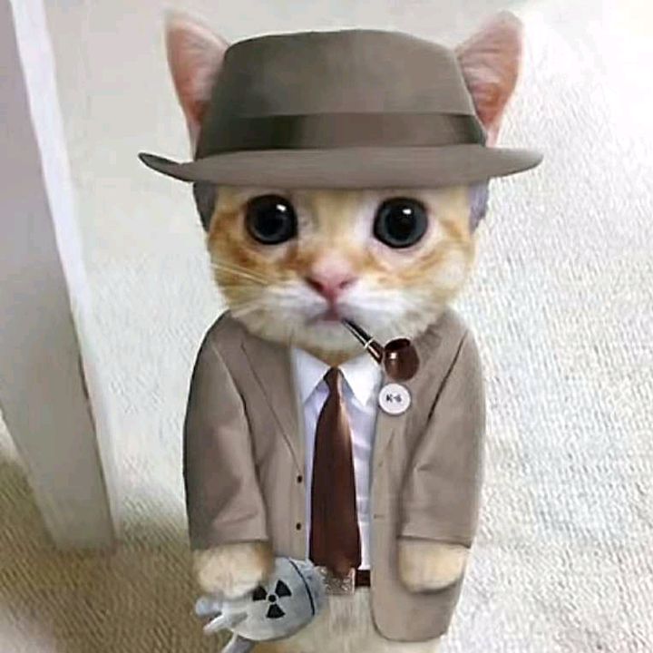 Profile Picture of .gretike (@.gretike) on Tiktok